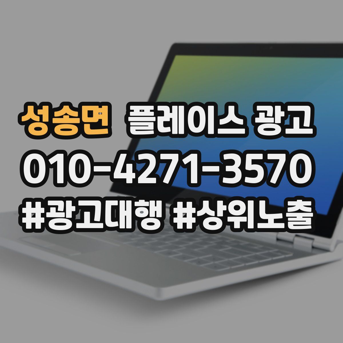 성송면 플레이스 광고