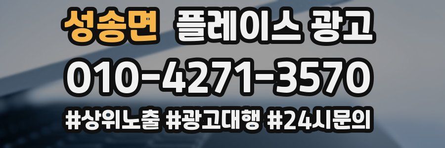 성송면 플레이스 광고