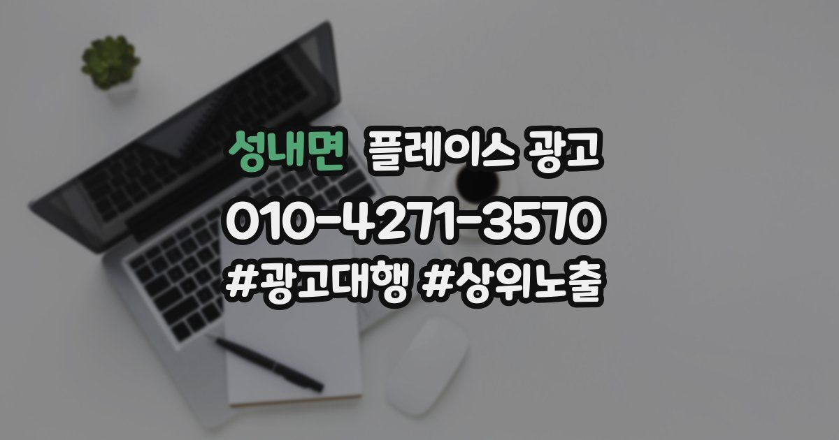 성내면 플레이스 광고