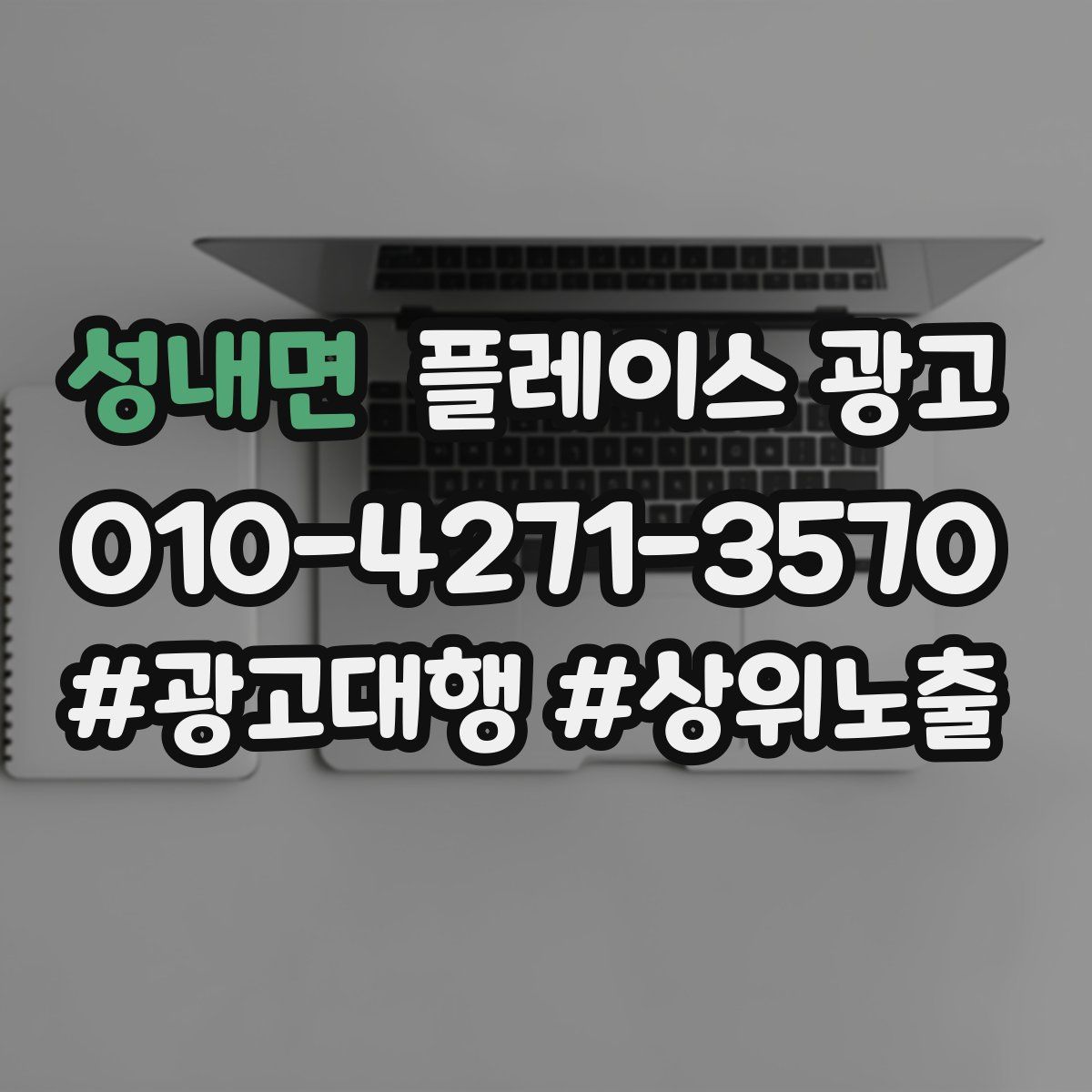성내면 플레이스 광고