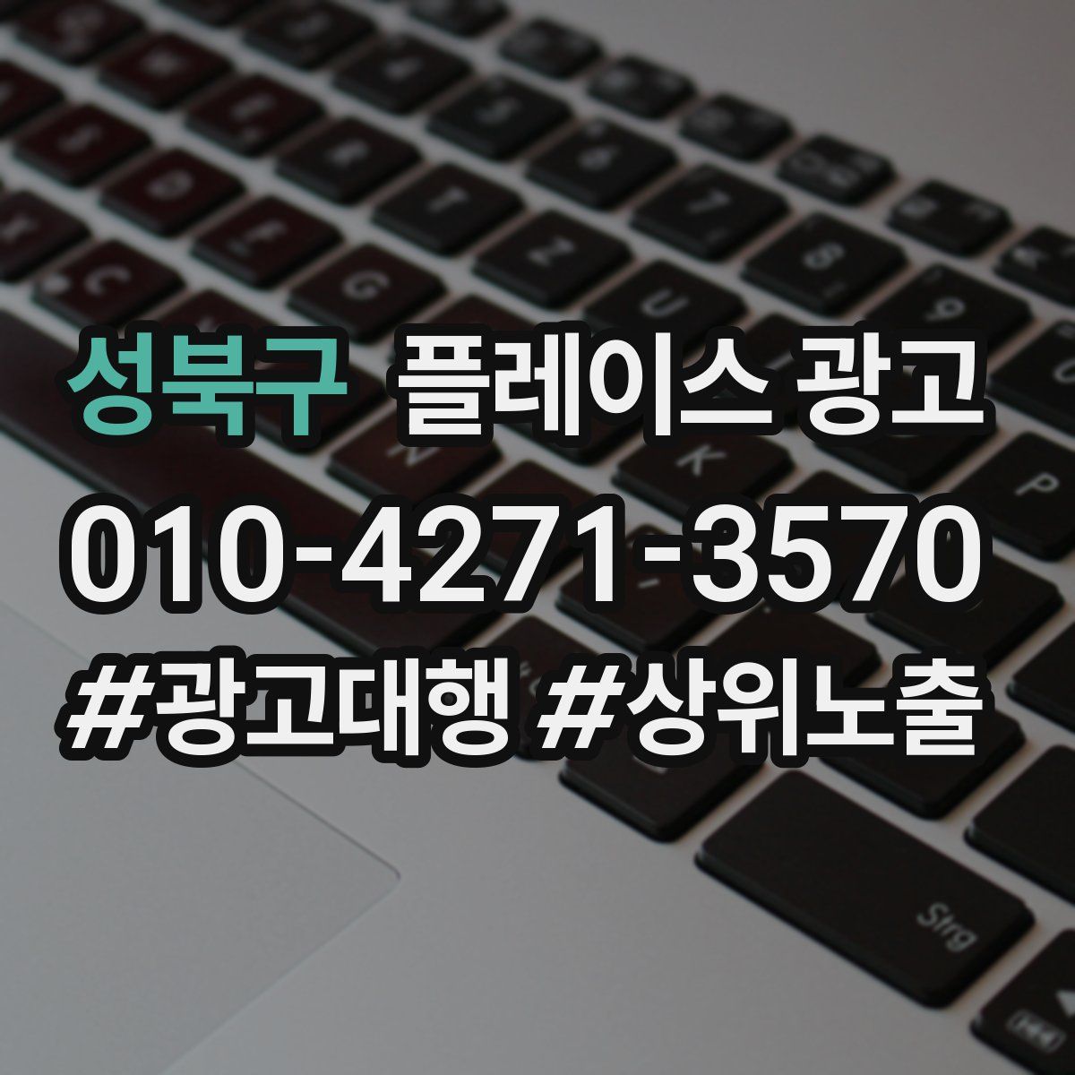 성북구 플레이스 광고