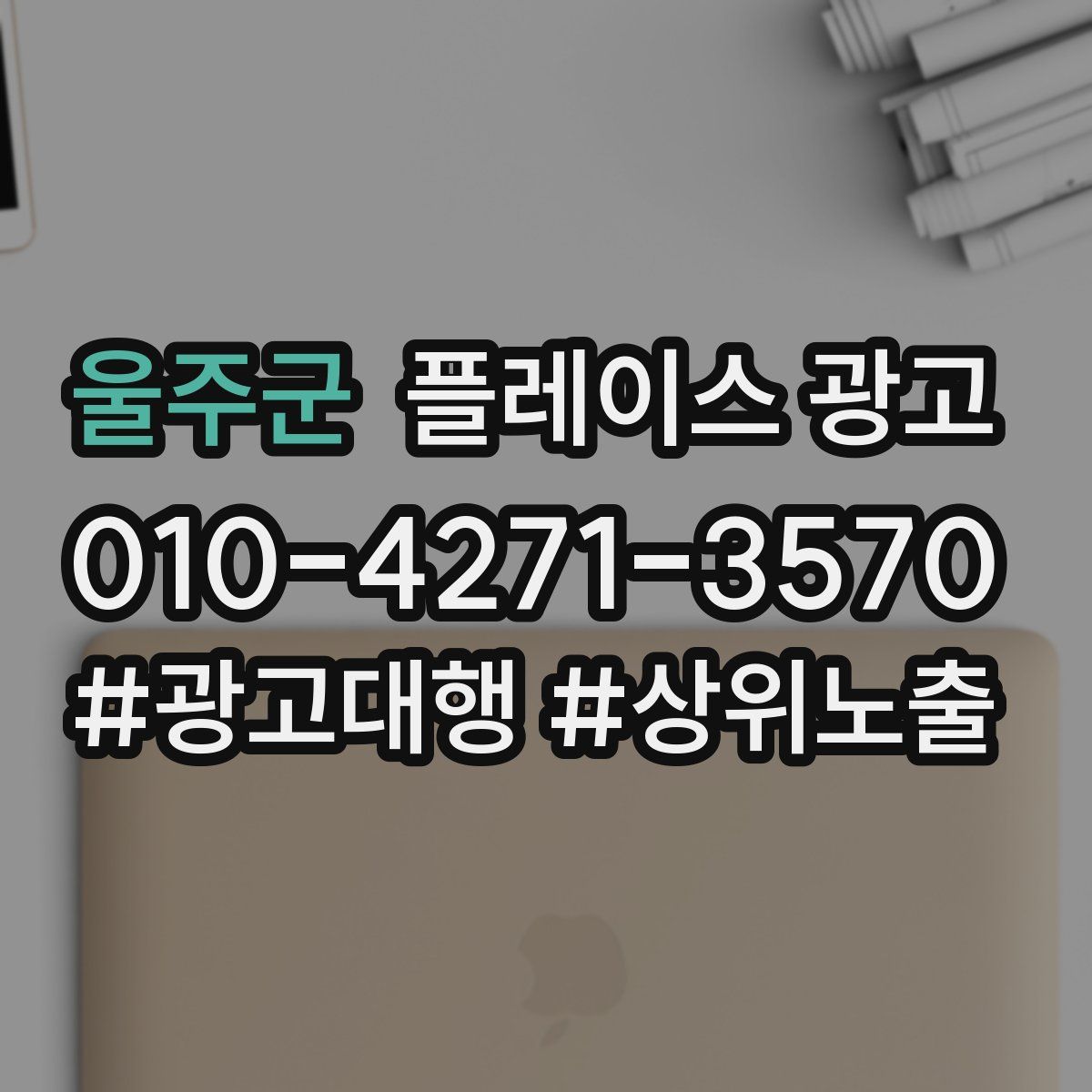 울주군 플레이스 광고