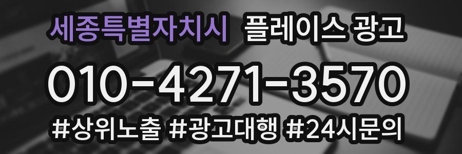 세종특별자치시 플레이스 광고