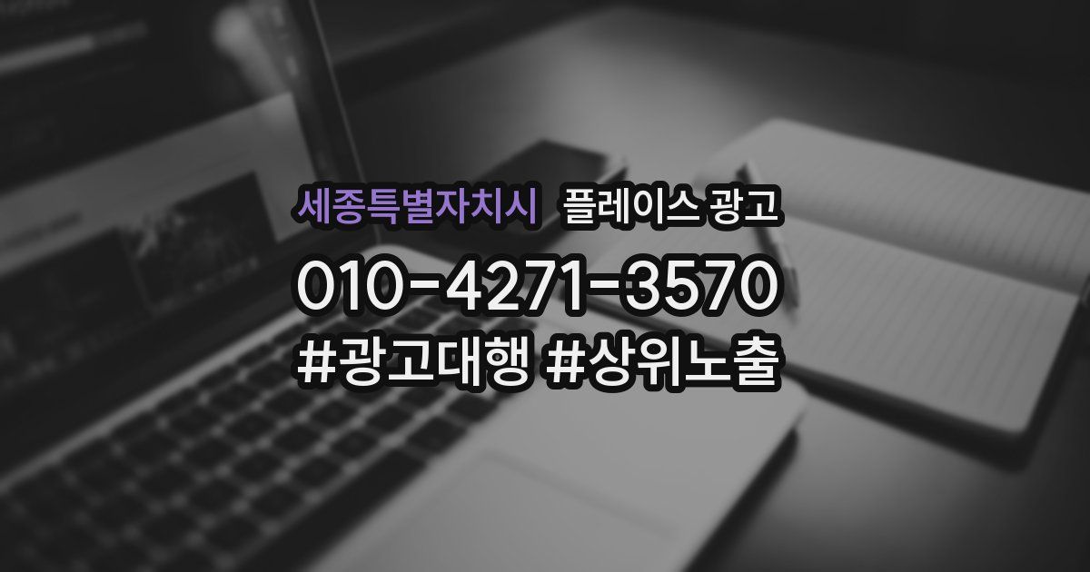 세종특별자치시 플레이스 광고