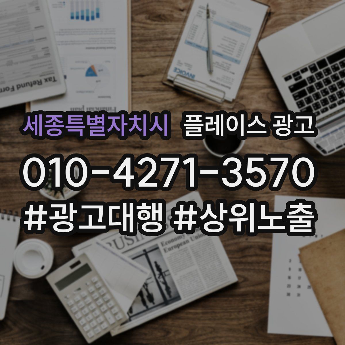 세종특별자치시 플레이스 광고