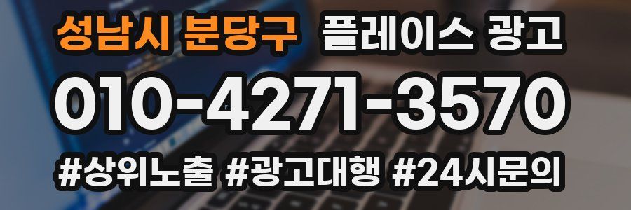 성남시 분당구 플레이스 광고