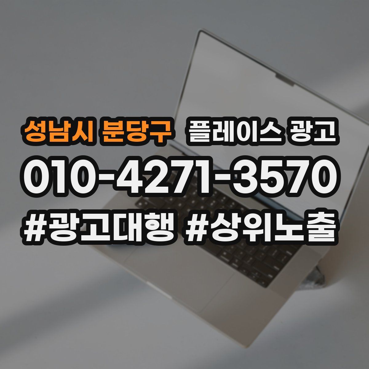 성남시 분당구 플레이스 광고