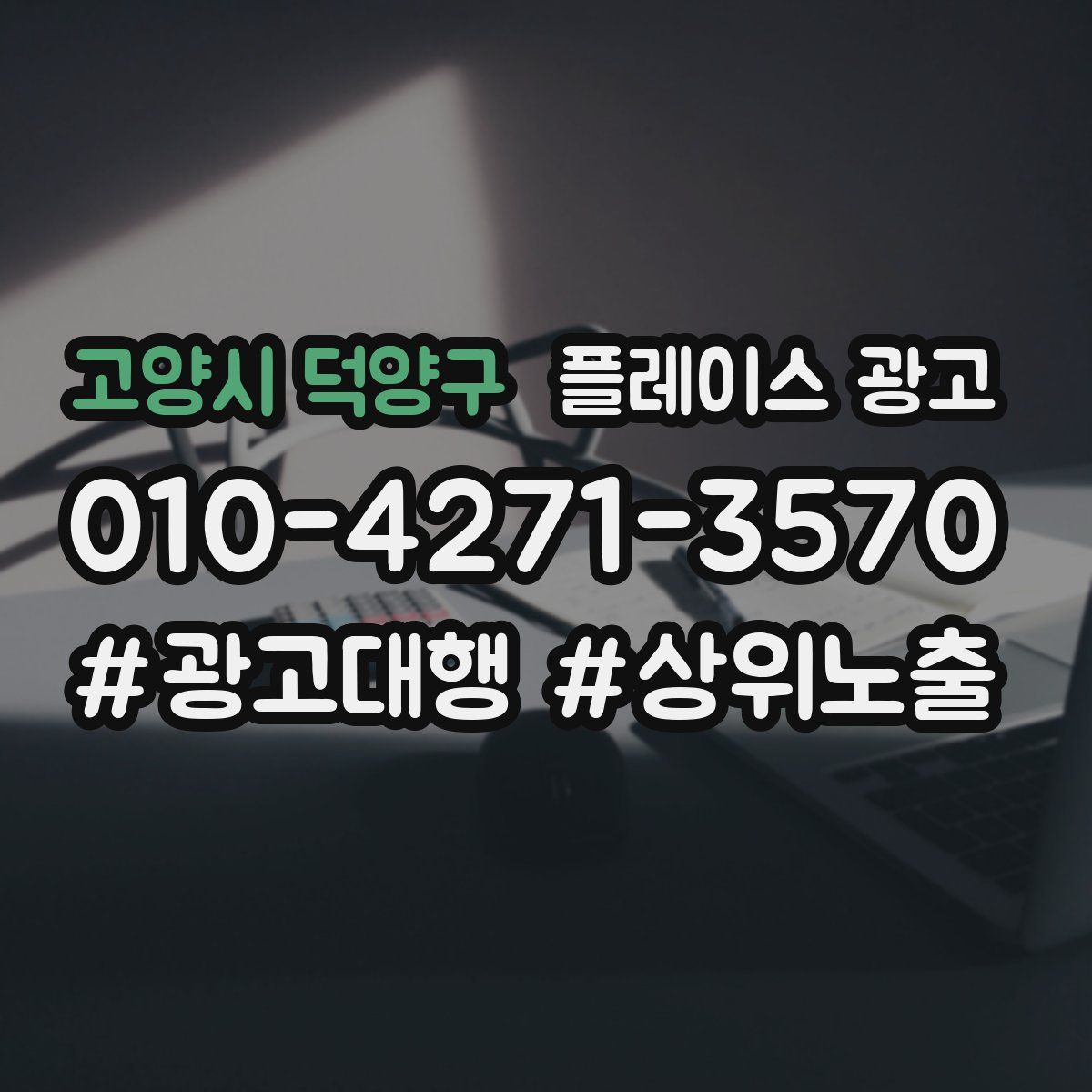 고양시 덕양구 플레이스 광고