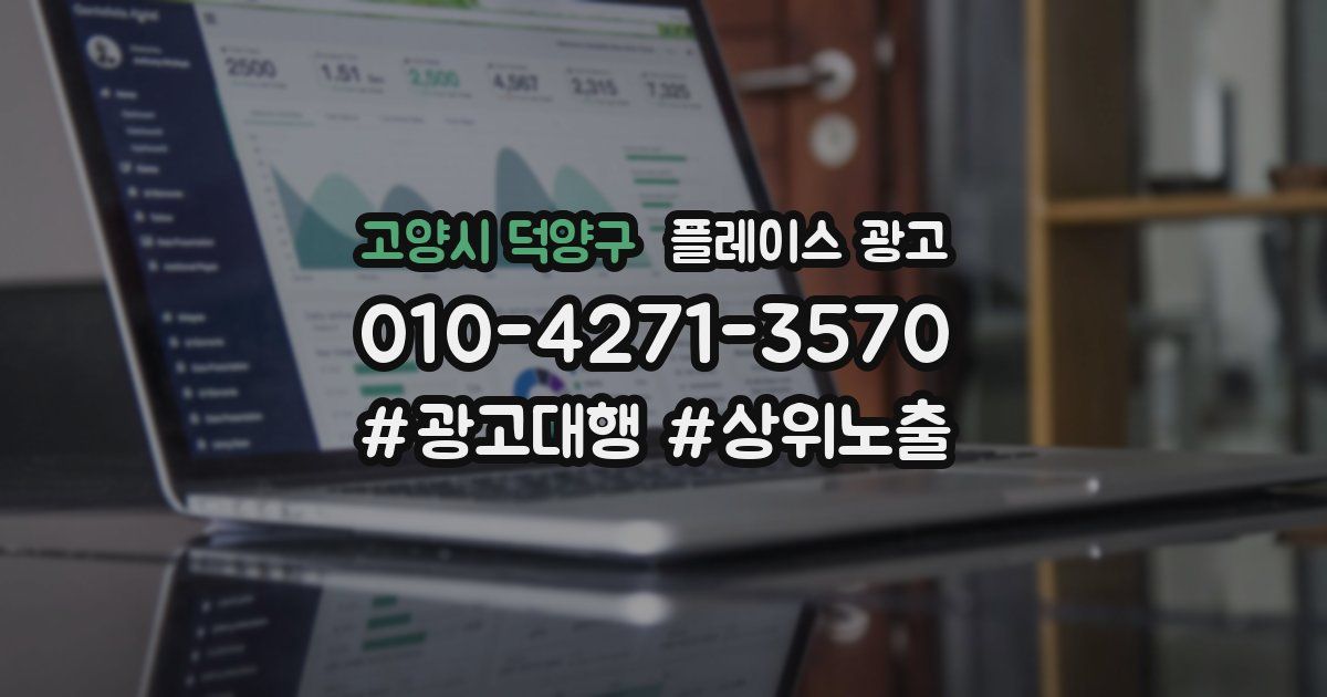 고양시 덕양구 플레이스 광고
