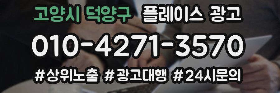 고양시 덕양구 플레이스 광고
