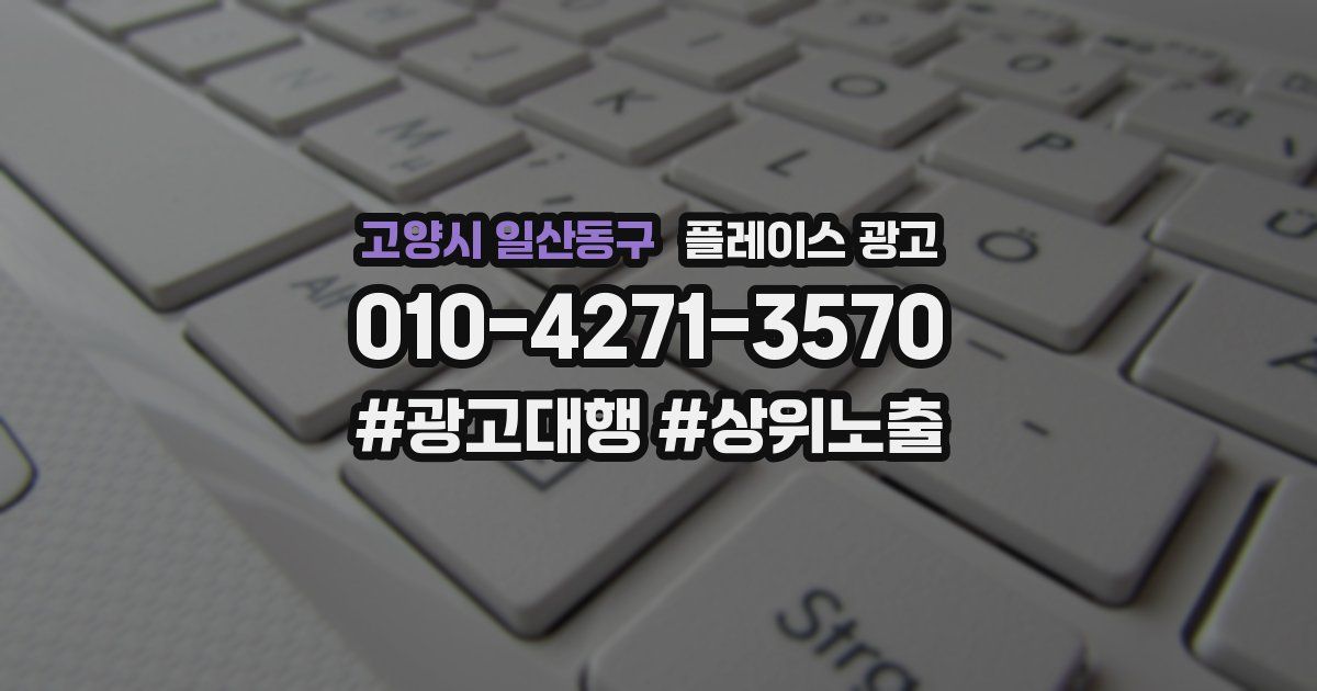 고양시 일산동구 플레이스 광고