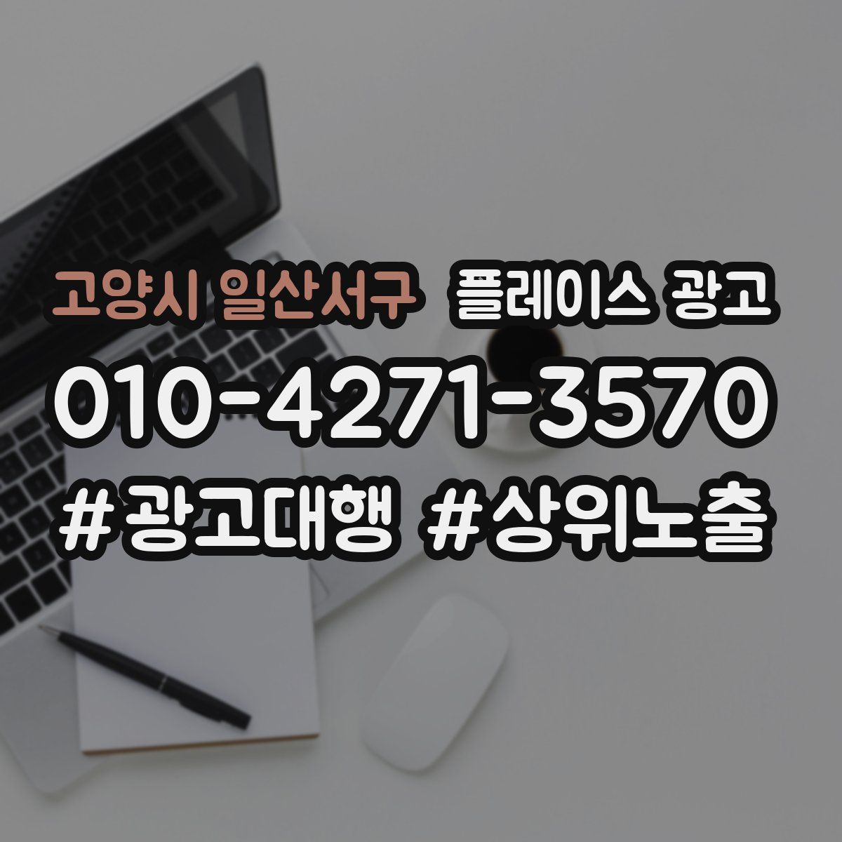 고양시 일산서구 플레이스 광고