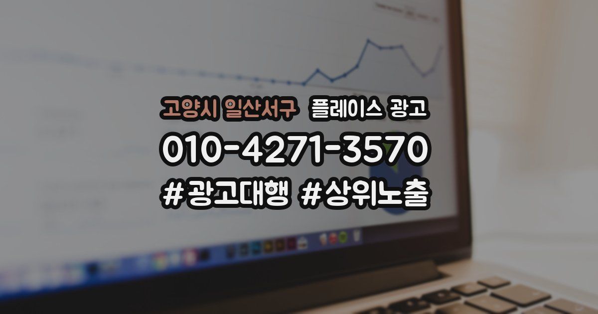 고양시 일산서구 플레이스 광고