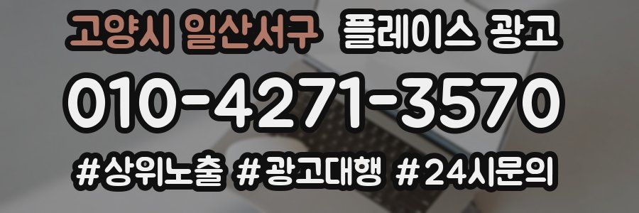 고양시 일산서구 플레이스 광고