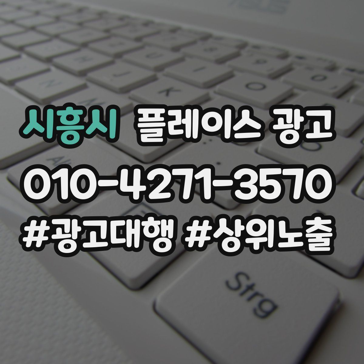 시흥시 플레이스 광고