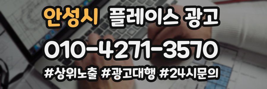안성시 플레이스 광고