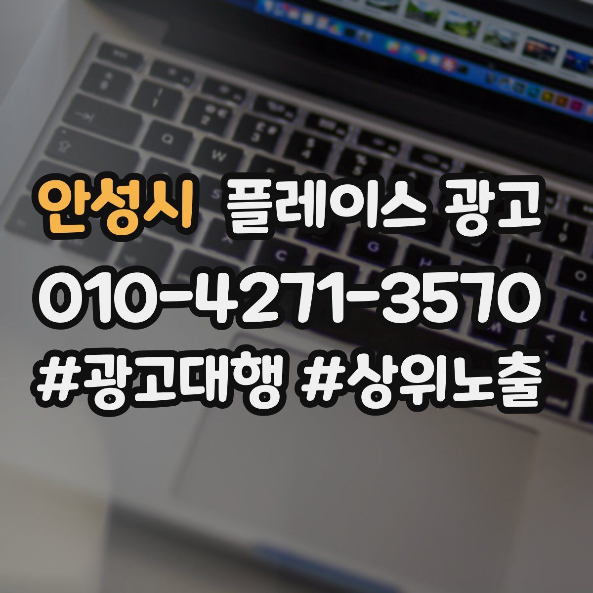 안성시 플레이스 광고