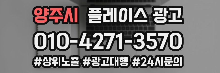 양주시 플레이스 광고