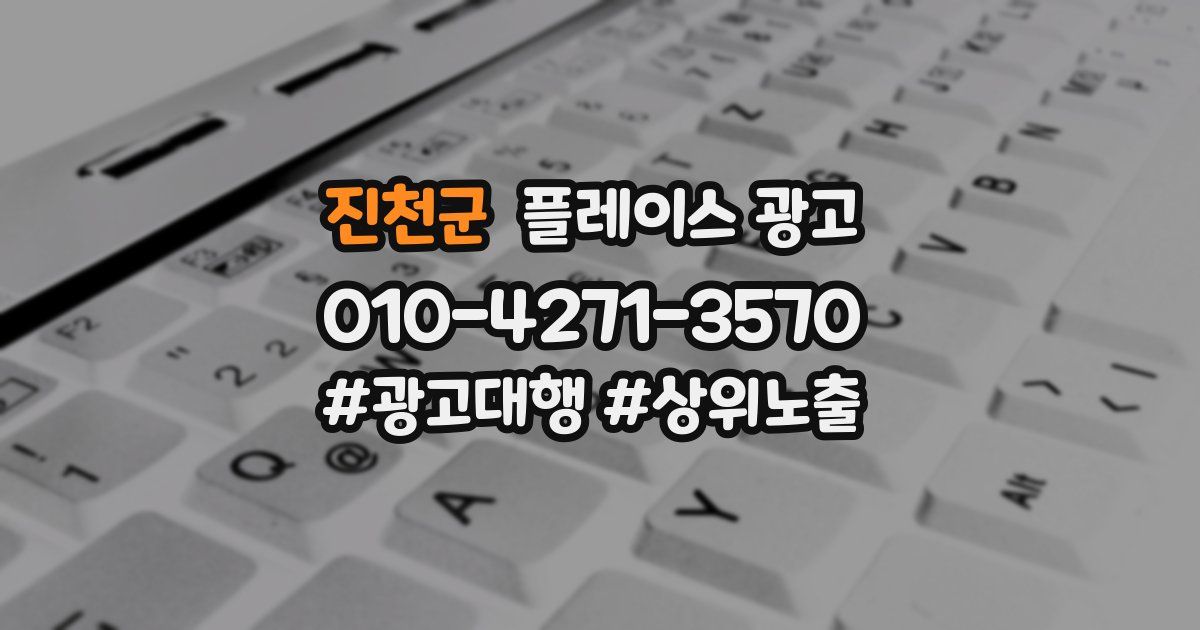 진천군 플레이스 광고