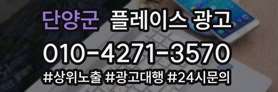 단양군 플레이스 광고