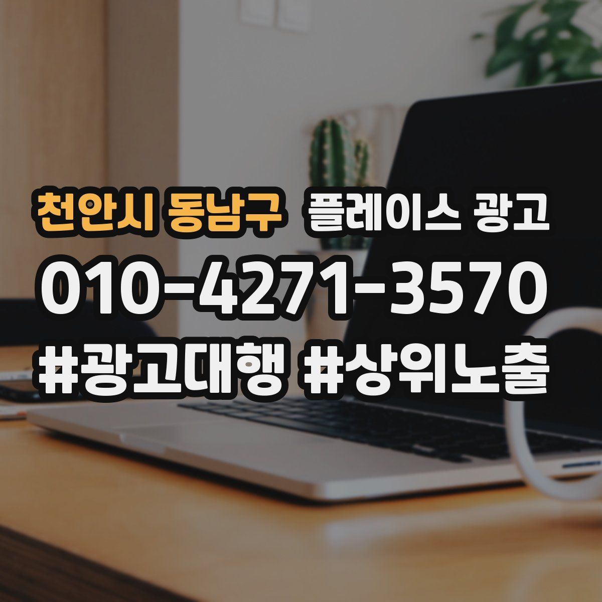 천안시 동남구 플레이스 광고