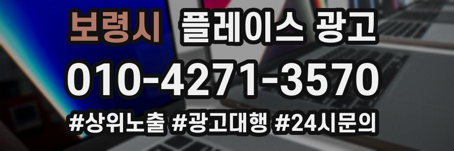 보령시 플레이스 광고