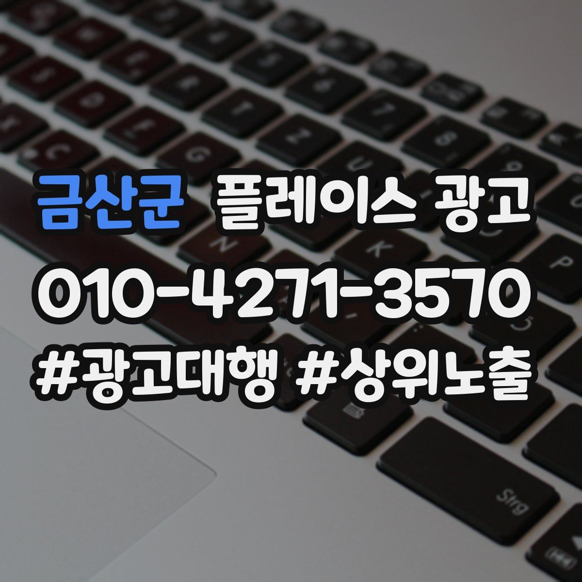 금산군 플레이스 광고