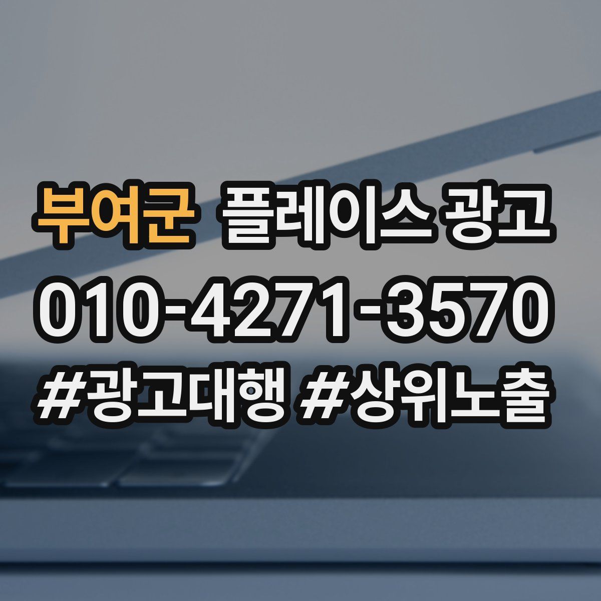 부여군 플레이스 광고