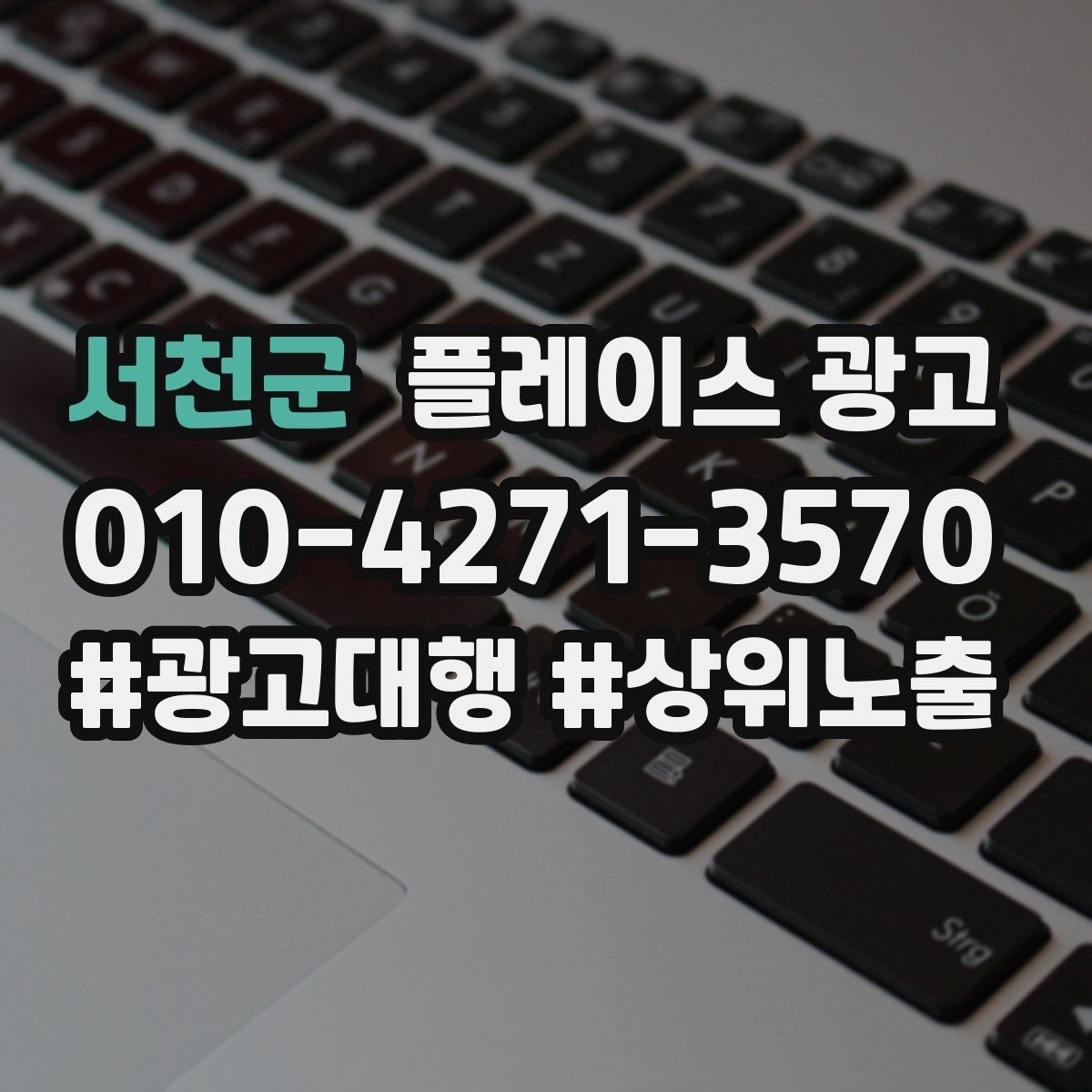서천군 플레이스 광고