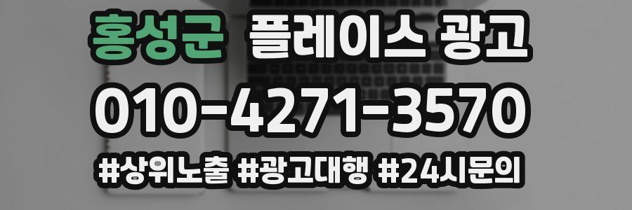 홍성군 플레이스 광고