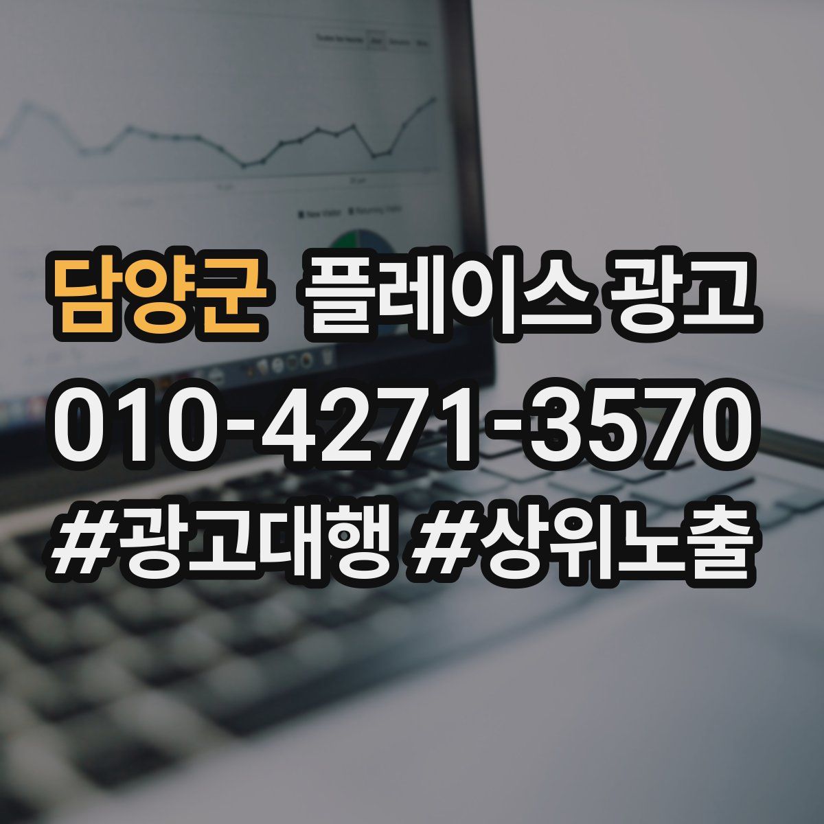 담양군 플레이스 광고