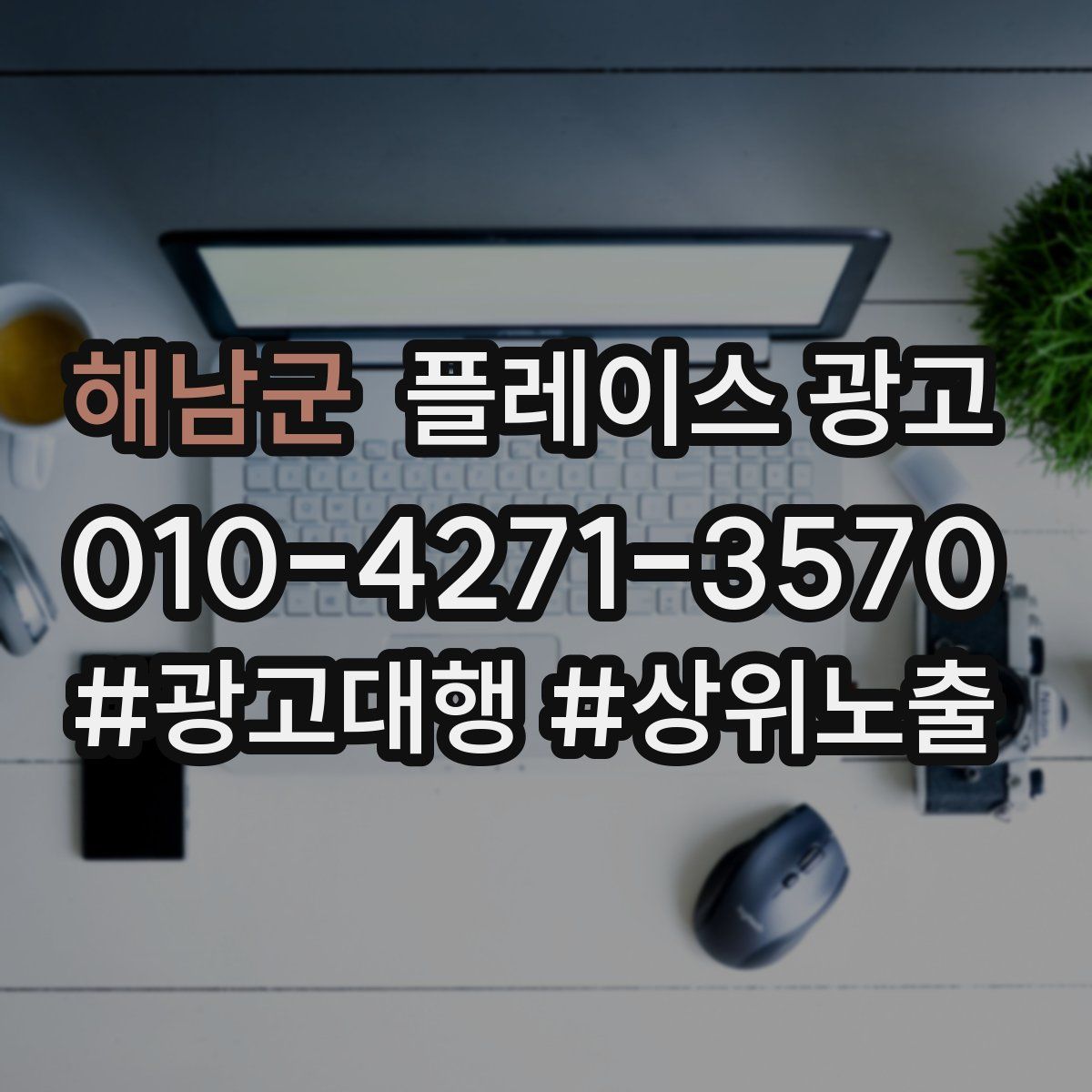 해남군 플레이스 광고
