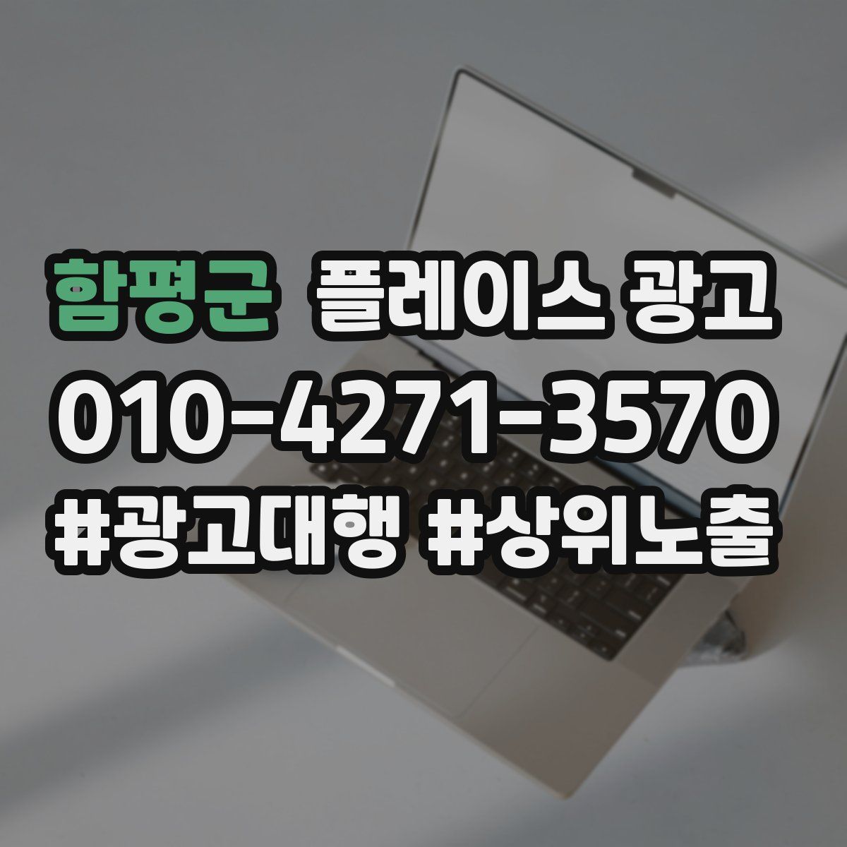 함평군 플레이스 광고