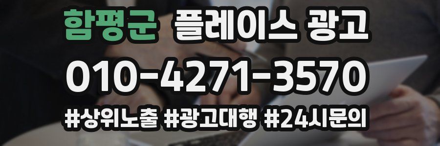 함평군 플레이스 광고
