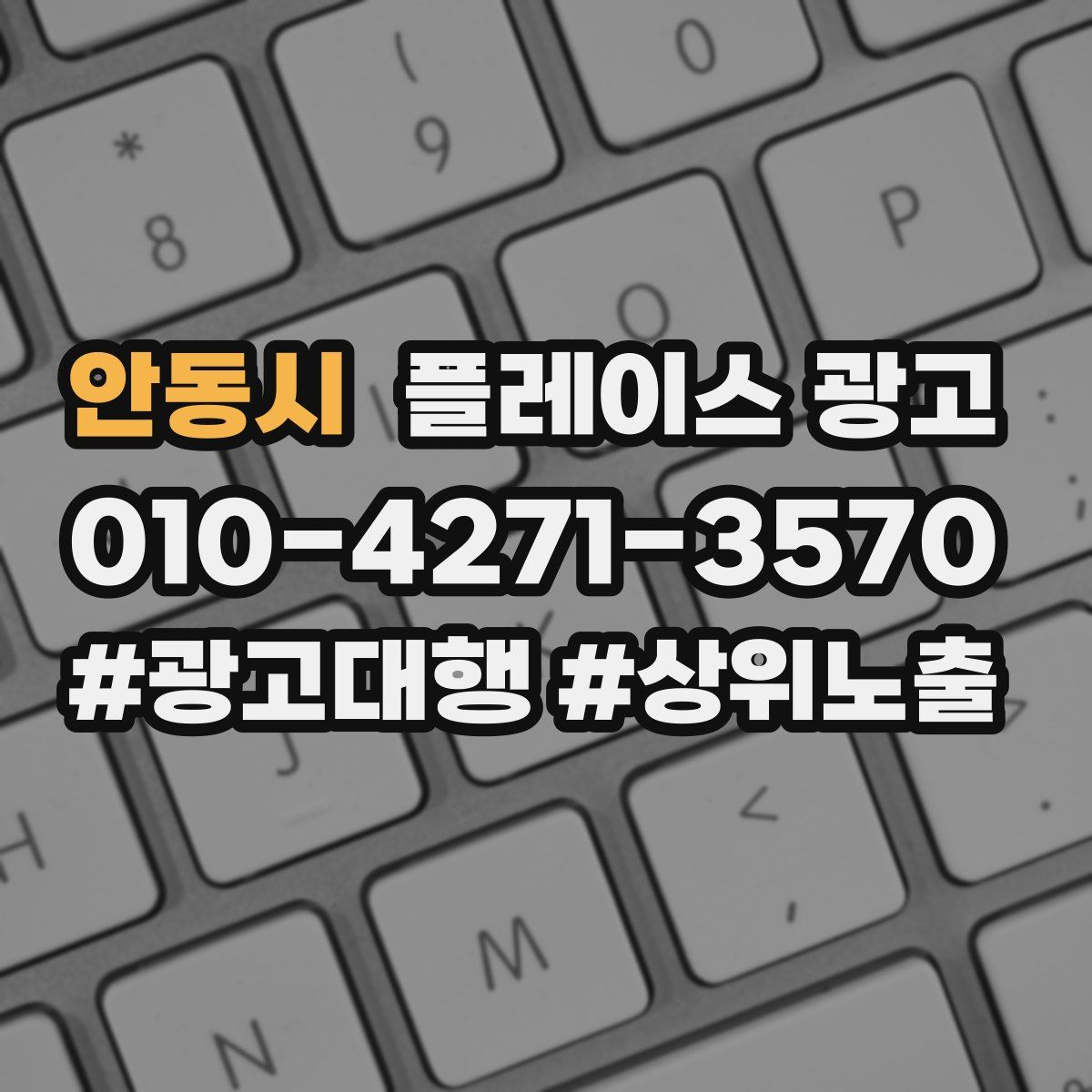 안동시 플레이스 광고
