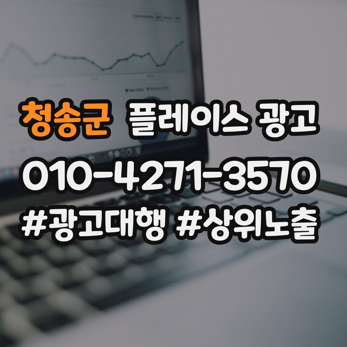 청송군 플레이스 광고