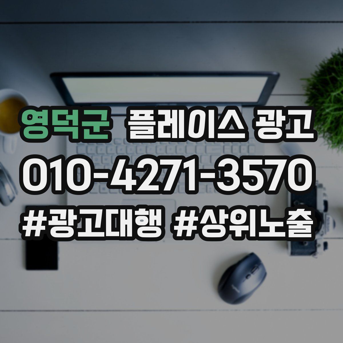 영덕군 플레이스 광고
