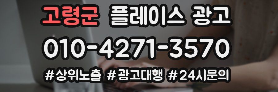 고령군 플레이스 광고