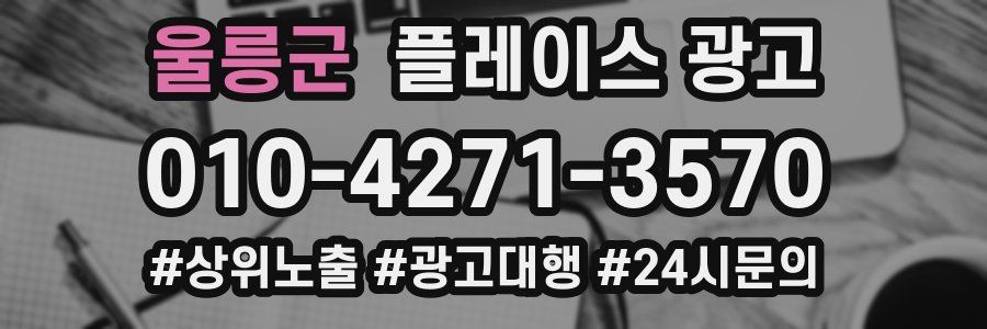 울릉군 플레이스 광고