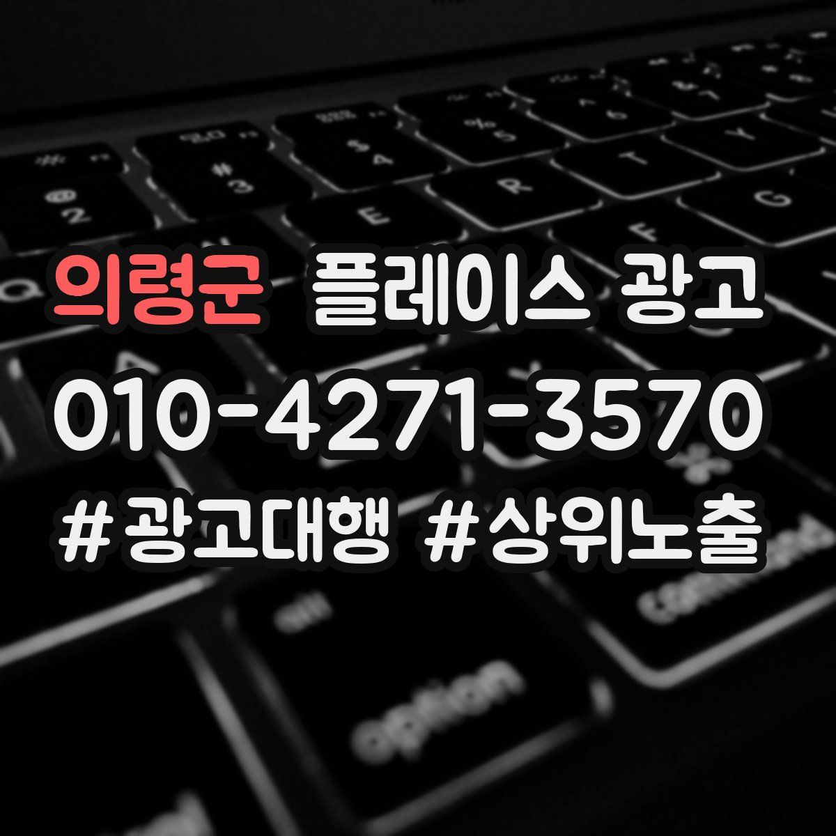 의령군 플레이스 광고