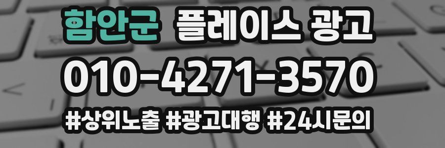 함안군 플레이스 광고