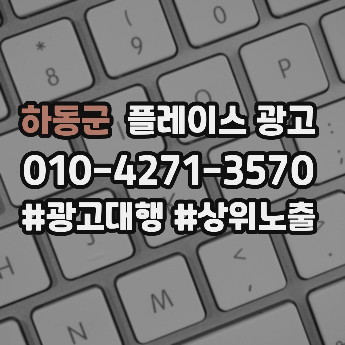 하동군 플레이스 광고