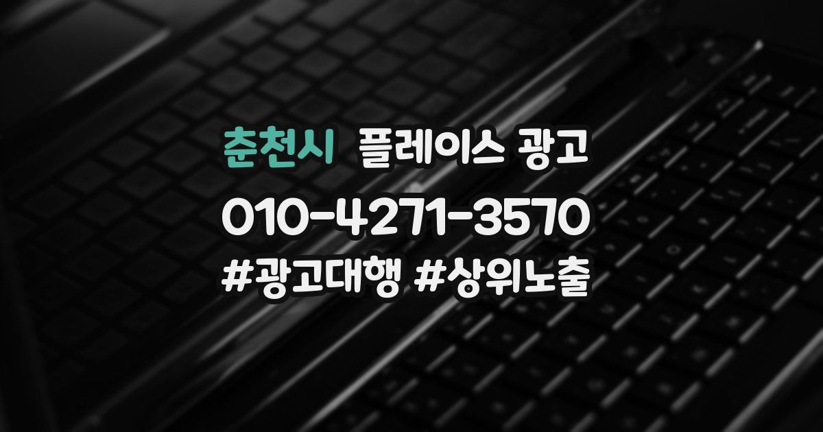 춘천시 플레이스 광고