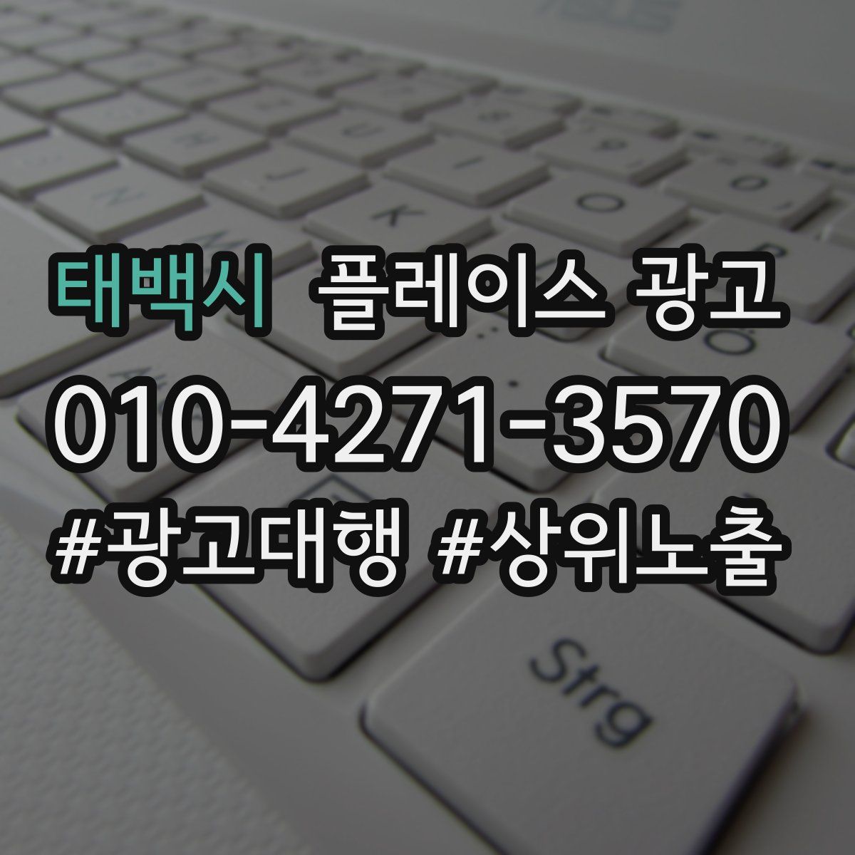 태백시 플레이스 광고