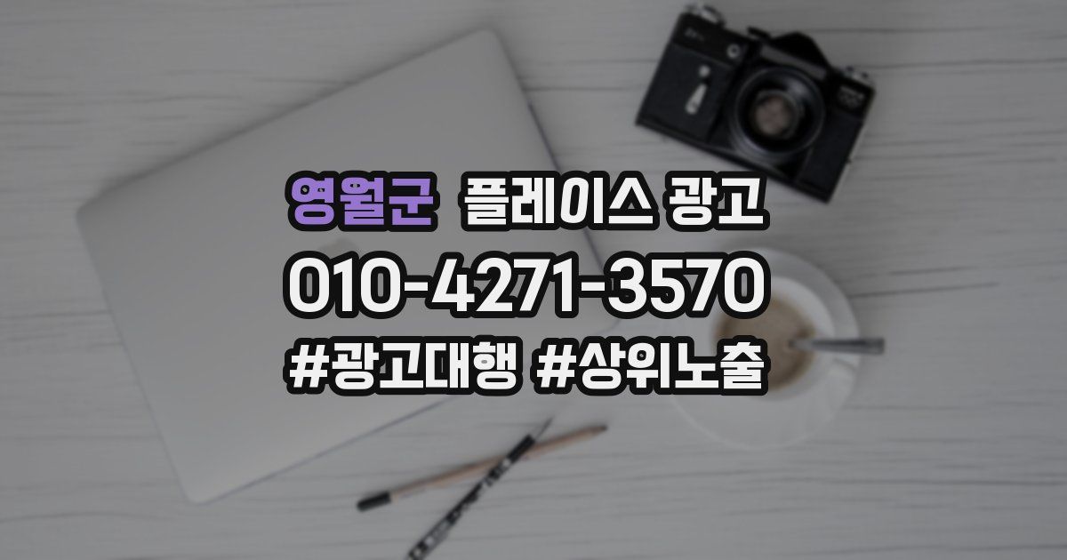 영월군 플레이스 광고