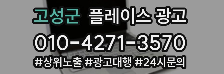 고성군 플레이스 광고