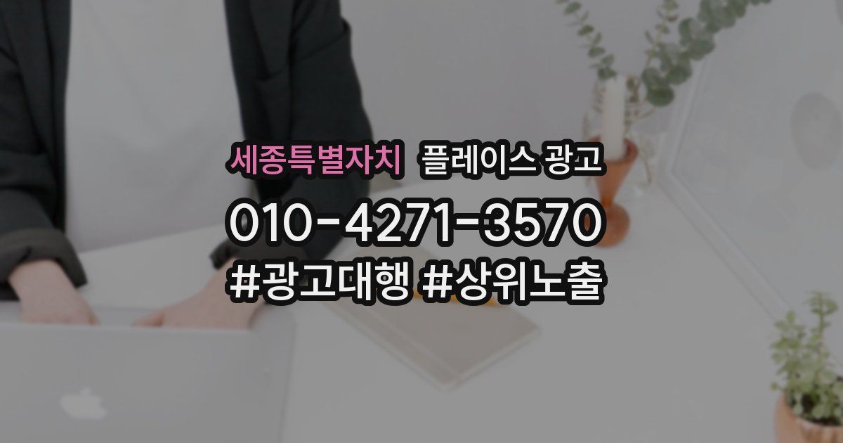세종특별자치 플레이스 광고