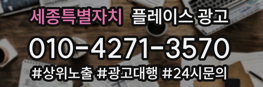 세종특별자치 플레이스 광고