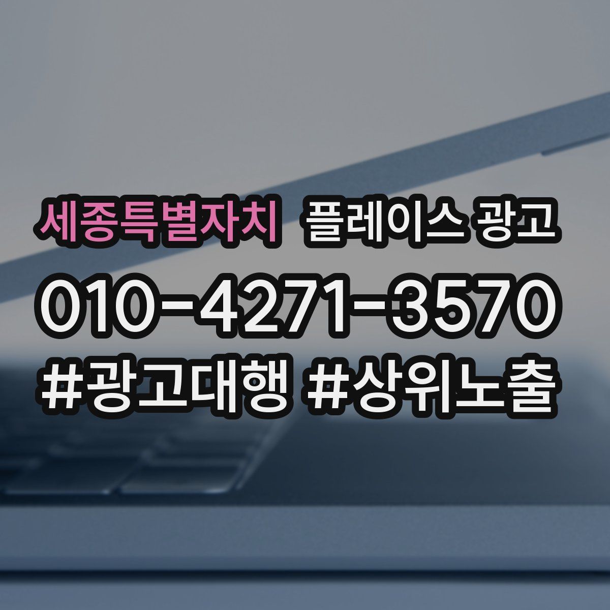 세종특별자치 플레이스 광고