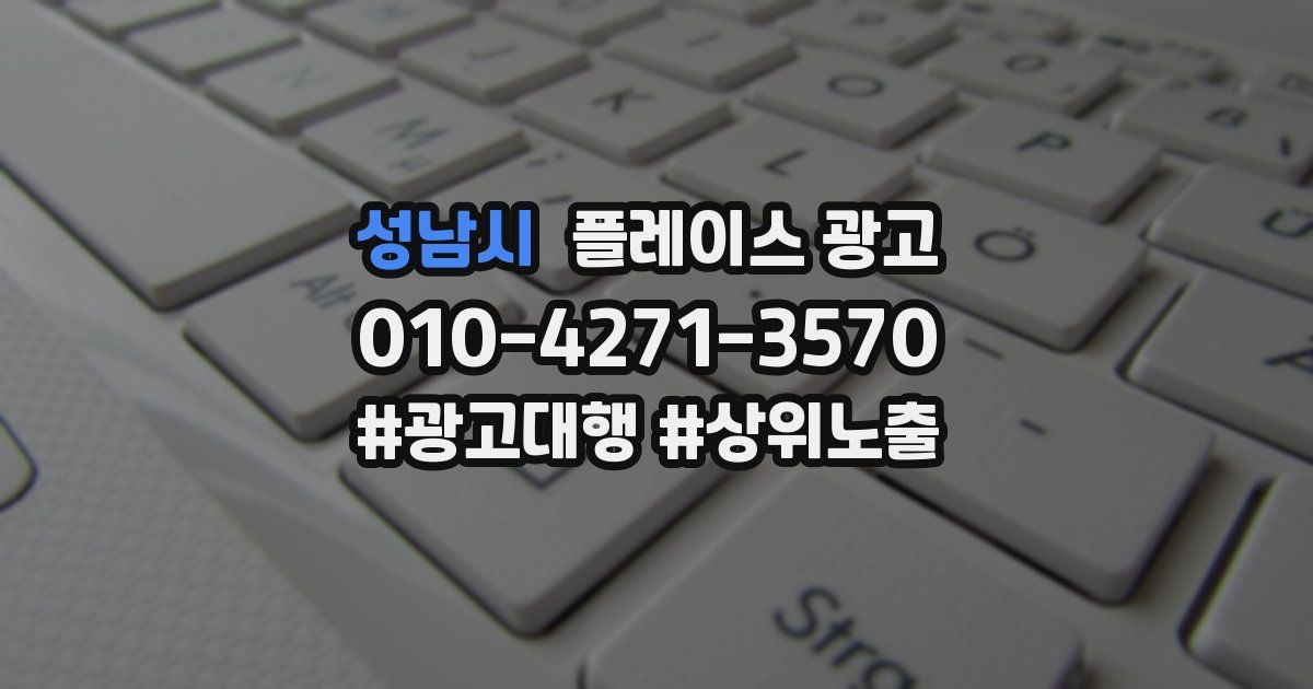 성남시 플레이스 광고